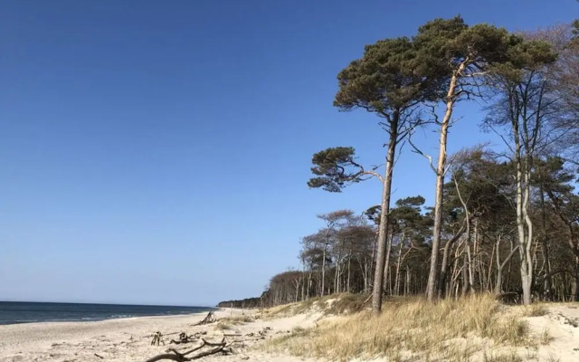 Katis Nest Comfortable Holiday Residence