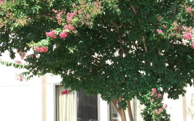 Holiday Inn Express Raleigh Durham Airport by IHG
