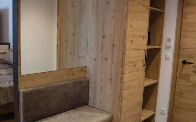 Modern Apartment 100 m From ski Area