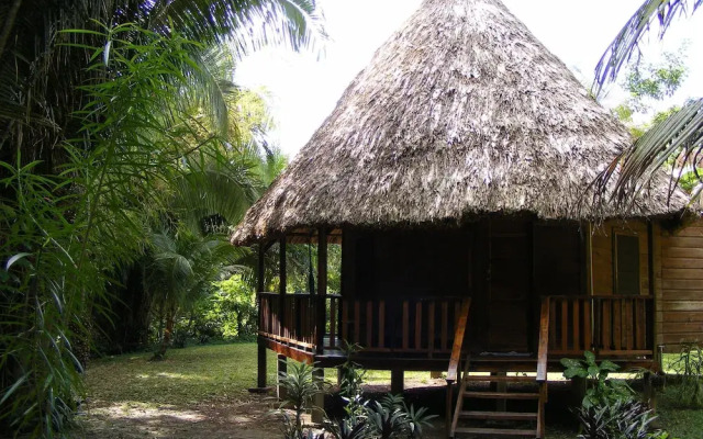 Cohune Palms River Cabanas
