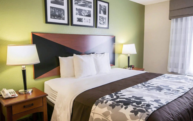 Spark by Hilton Killeen