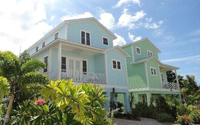 Sand Dollar by RedAwning