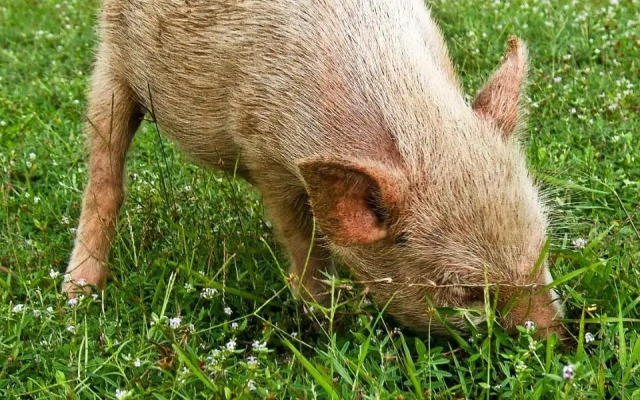 Surf Rote @ Boa Hills Surf House