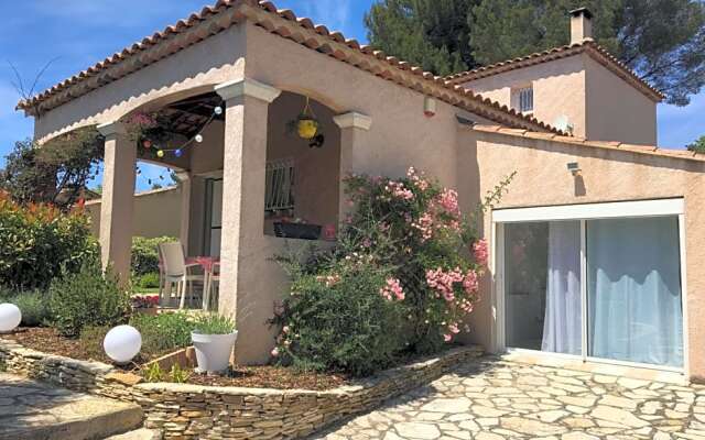 Entre olivier et mimosa