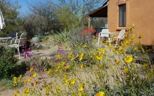 Oro Valley Desert Casita Retreat