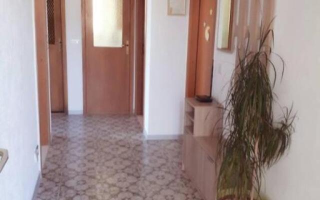 Apartments Šimun - 15m from beach