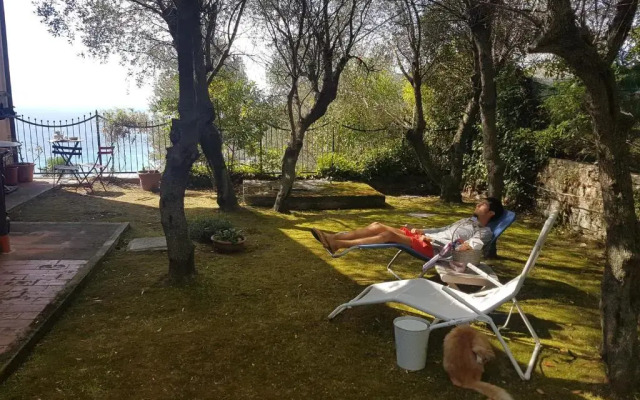 La Camera Tra Gli Ulivi Dream Finale