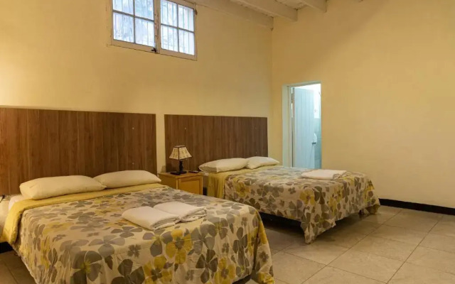 Wild Olive Guest House