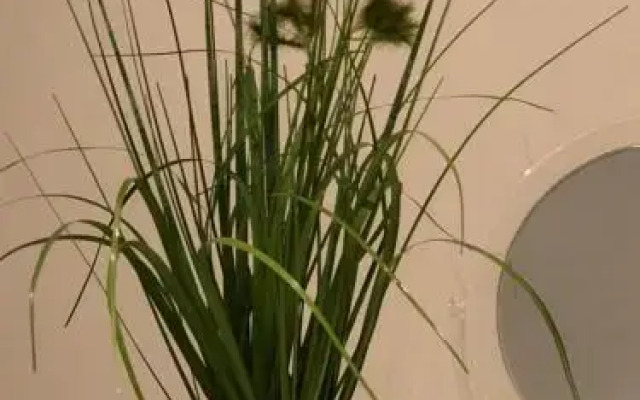 Ferien im Bomlitztal