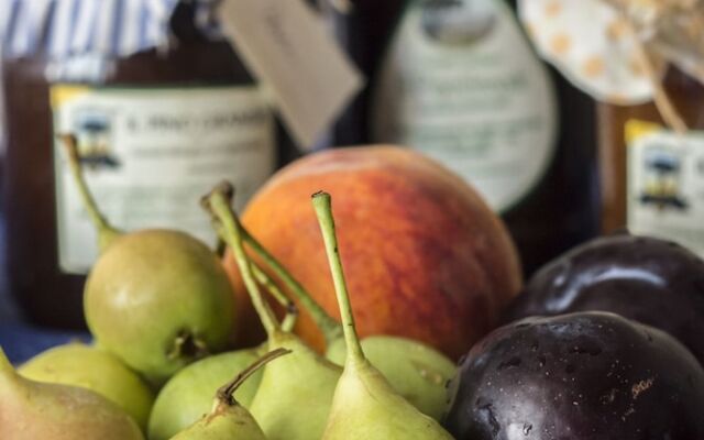 Masseria Citulo - Il Pino Grande