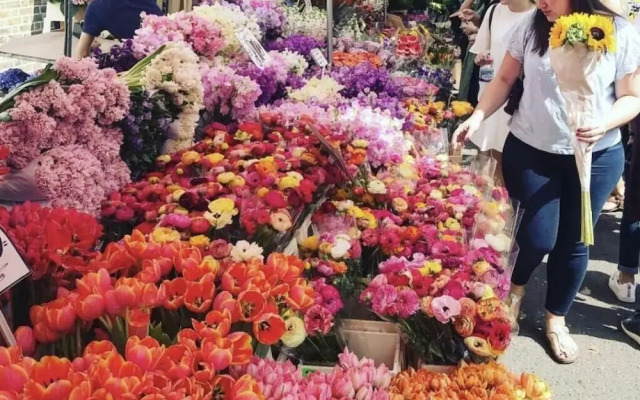 Beautiful London Apartment in Shoreditch