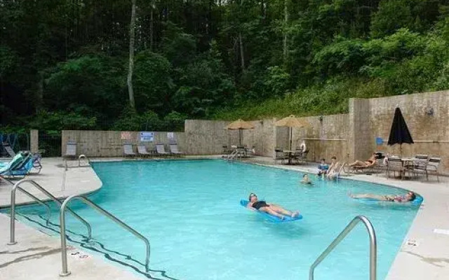 Buddy Bear 249 by Aunt Bug's Cabin Rentals