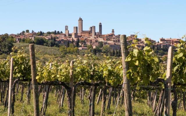 Fattoria Abbazia Monte Oliveto