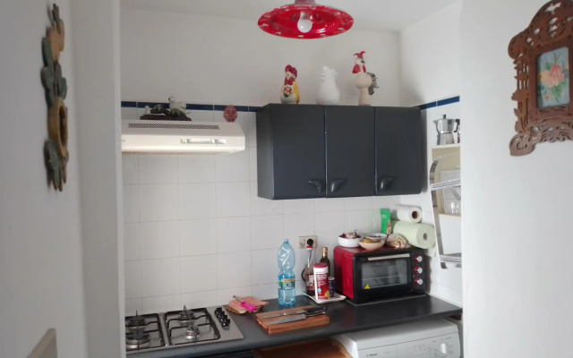 La casa della pecora nera