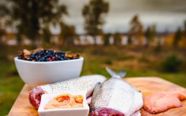 Arctic gourmet cabin