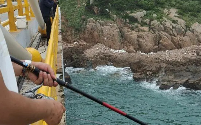 Shengsi Wolfberry Jiaxinhai Homestay