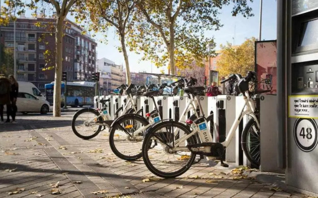 Solfai Vacacional 19