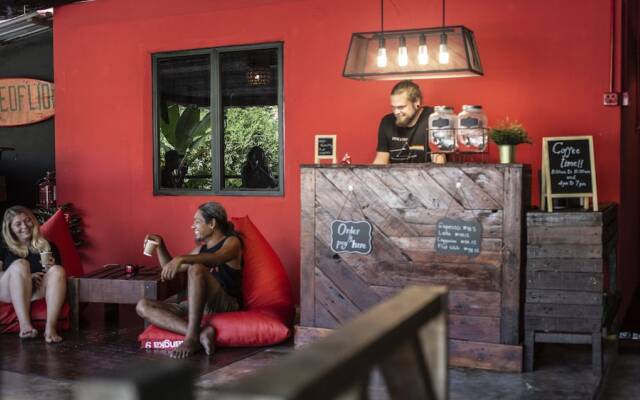 House of Lion Hostel and Guesthouse
