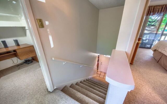 Big Tree View TBM 112