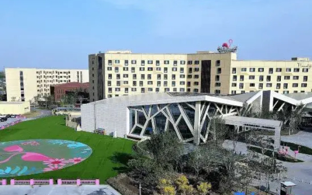 Flamingo Harbour Hotel