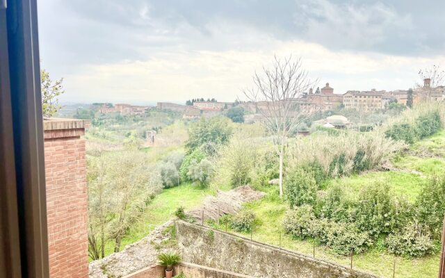 Provenzano Top floor