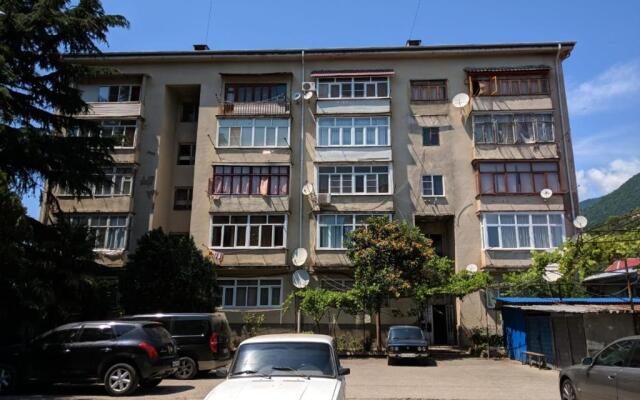 Apartment on Abazgaa 37/2