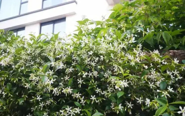 Nanshe Boutique Hostel