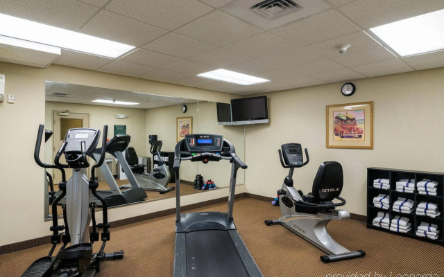 Comfort Inn & Suites Dover near Speedway