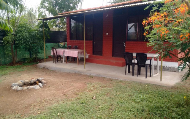 The Big Cat Den Resort