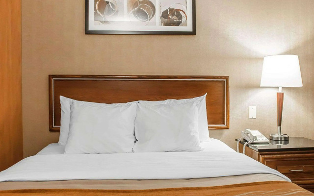 Comfort Inn Simcoe
