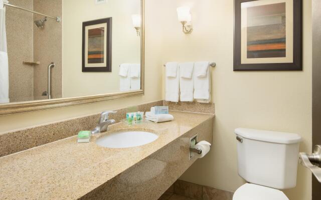 Holiday Inn Hotel & Suites Charleston West by IHG