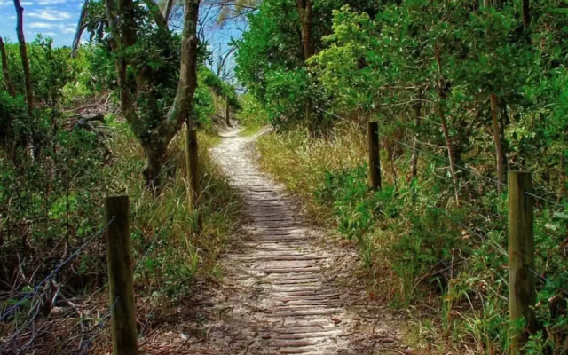 Tiona Palms Holiday Park