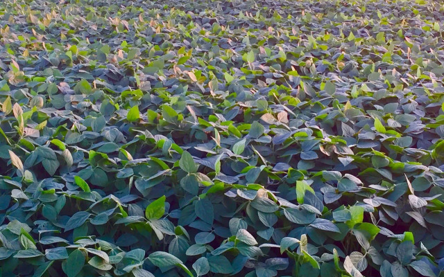 Serenity Ranch Bed & Breakfast