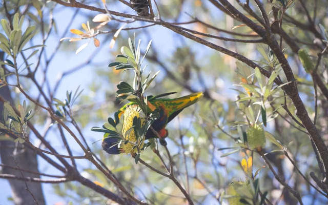 Sea-renity - 17 Kurrawa Dr