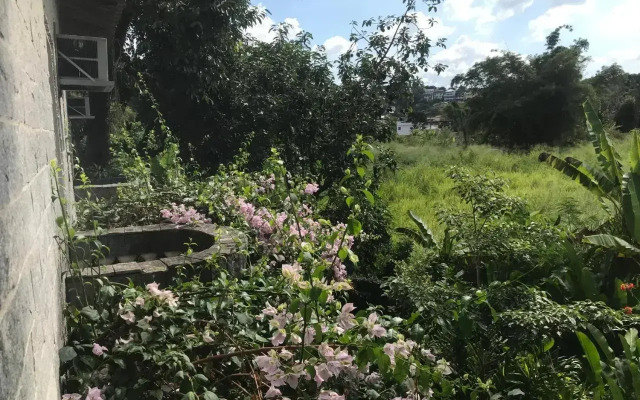 Rio Natureza apart 112