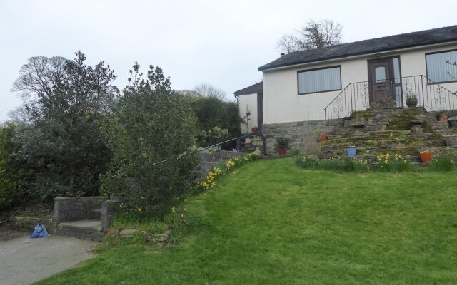 Cobden View