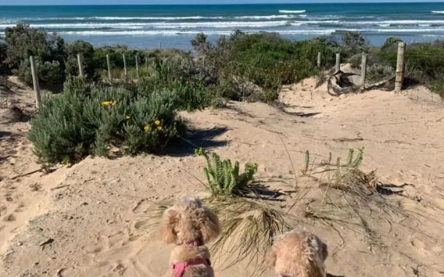 The Dunes Beach House