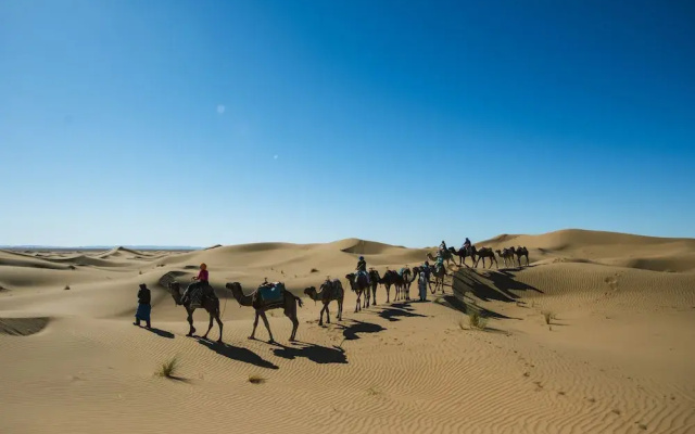 Bivouac les nomades foum zguid