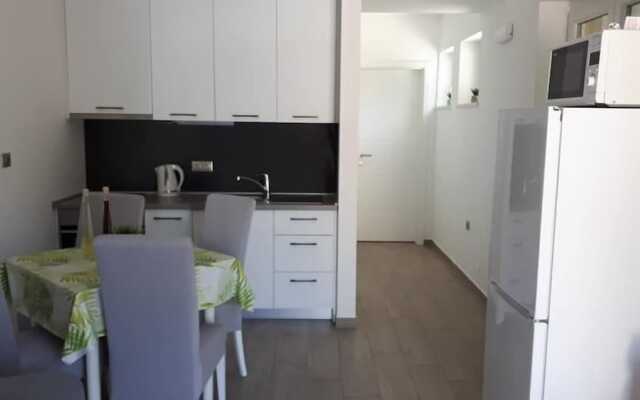 Apartments Šišević