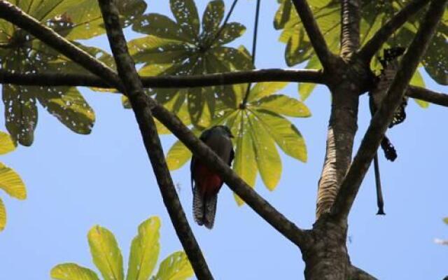 Ranchitos del Quetzal - Parque Ecológico Gucumatz