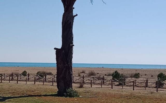 Çirali Campi̇ng