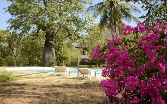 Kirathimo Explorers Oasis Diani - Hostel