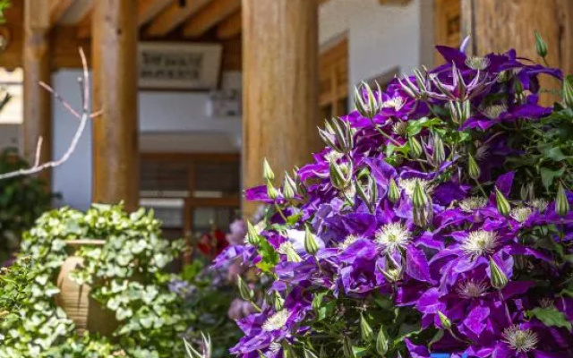 AJUN'S FRIENDS' LODGE | 360° Snow Mountain View | Private Garden · Sunny Courtyard – Outside – Lijiang