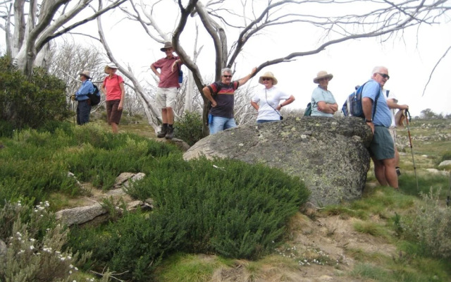 Kosciuszko Tourist Park
