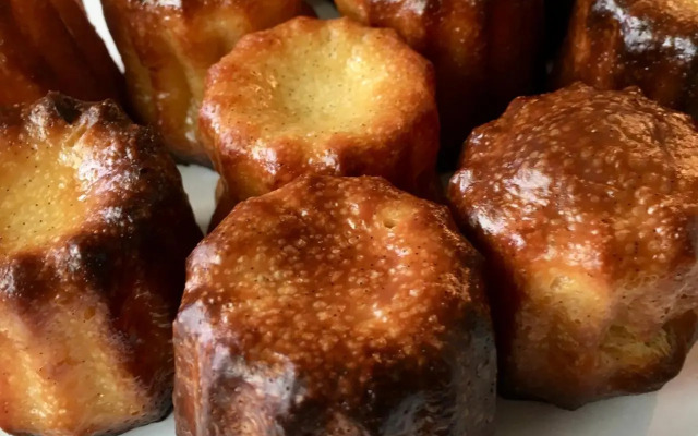 Chambres du Domaine - Domaine de Bellevue