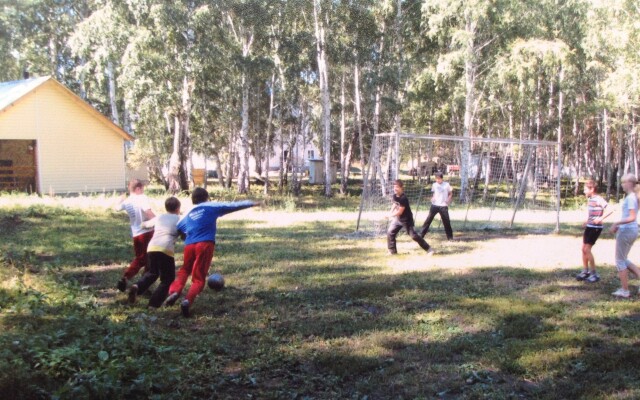 Зеленая поляна