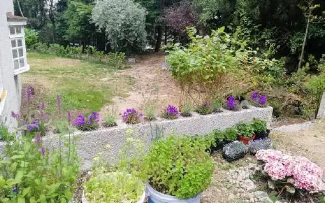 Robinhill Garden