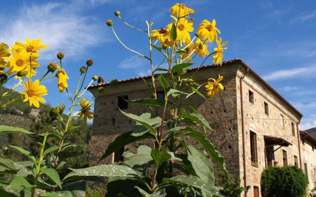 Agriturismo Al Palazzaccio