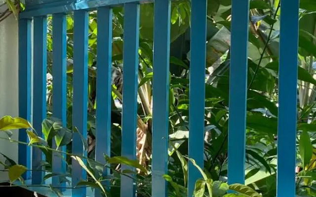 Villa Jacaranda