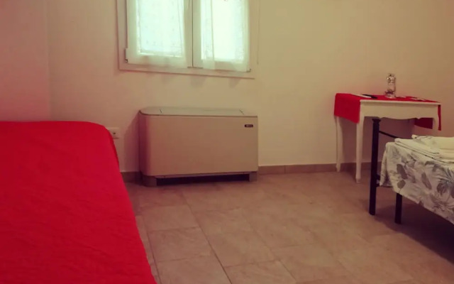 Le mille e una notte